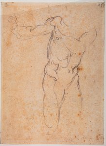 Study for the Adam of the 