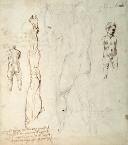 Study of the Christ Child and an Anatomical Drawing with Notes (verso)
