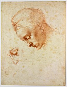 Study to the head of Leda by Michelangelo Buonarroti