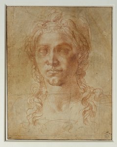 Ideal Head of a Woman by Michelangelo Buonarroti