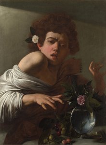 Boy bitten by a Lizard