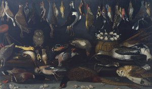 Still life with Birds