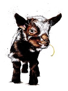 Baby Goat on White, 2020