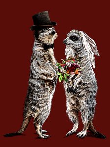 Married Meerkats on Red Oxide by Mike Davis