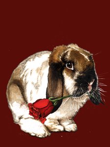 The Love Bunny on Red Oxide, 2020