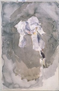 White Iris by Mikhail Aleksandrovich Vrubel