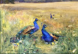 Peacocks in a Field by Mildred Anne Butler