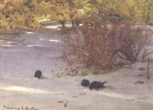 Shadows on the Snow by Mildred Anne Butler