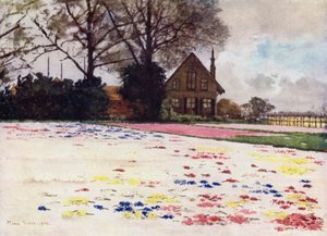 Hyacinths Scattered on the Sand by Mima Nixon