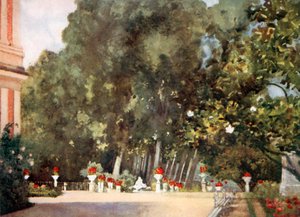 The Magnolia Tree, Aranjuez by Mima Nixon