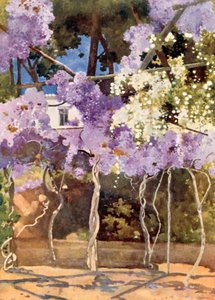 The Wistaria Bower, The Royal Palace, Athens by Mima Nixon
