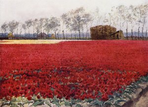 Whose leaves with their crimson glow Hide the heart that lies burning and black below by Mima Nixon