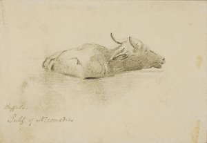 Buffalo, Gulf of Nicomedia by Miner Kilbourne Kellogg