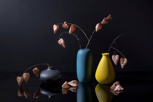 Modern Botanical Vases by Ming Chen