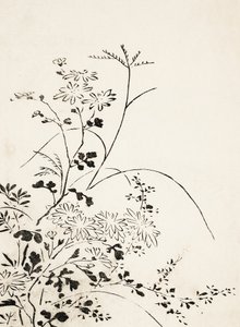 Autumn Flowers and Grasses by Miyazaki Yuzen