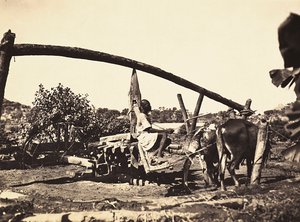 Building an Empire in the Fascist age: indigenous Noria, 09/05/1936