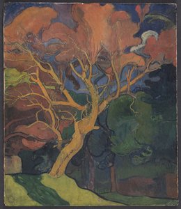 Wood with Crooked Tree