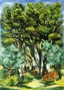 Landscape