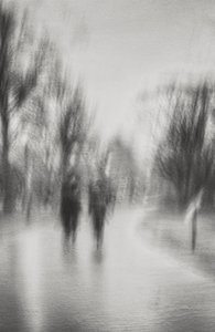 Dreamlike Park Stroll by Molly Fu APA