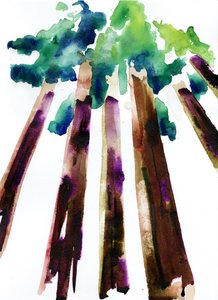 Sequoia by Monica Perez Vega