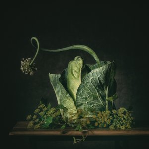 Moody Green Still Life