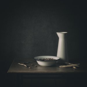 Rustic Bean Still Life