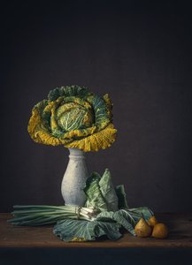 Rustic Cabbage Still Life