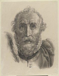 Head of a Bearded Man, Front View