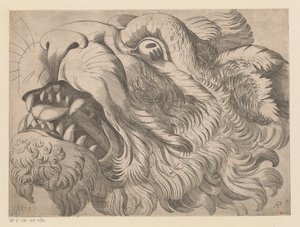 Head of a Lion by Monogrammist AP