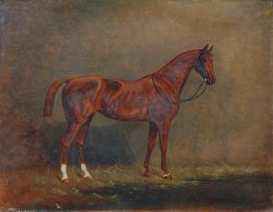 Portrait of a Riding Horse by Monogrammist A. G.