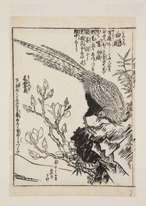 Pheasant and Magnolia by Morikuna Morikuna