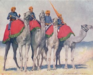 Camelry from Alwar