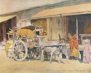 A Bullock-cart, Ajmere, 1905