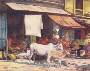 A Corner of the Fruit Market, Delhi