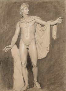 Cast of the Apollo Belvedere by Moseley Danforth