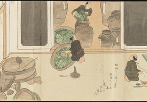 Illustrations of Uji Tea Production