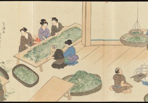 Illustrations of Uji Tea Production