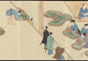 Illustrations of Uji Tea Production