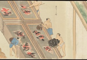 Illustrations of Uji Tea Production