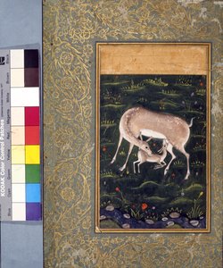 A doe nursing her fawn, c.1560