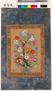 Mythical Plant by Mughal School