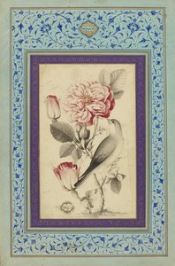 Roses and Nightingale, late 18th century by Muhammad Baqir