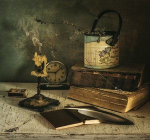 Moody Vintage Study by Mykhailo Sherman