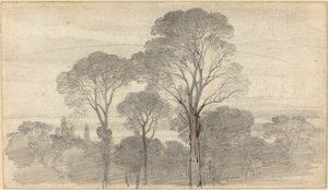 An Evening Landscape with Tall Trees by Myles Birket Foster