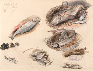 Study of Fish, Venice by Myles Birket Foster