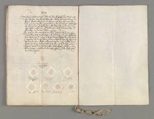 Certificate of the Treaty at the Hague Concluded Between the States General and the King of Sweden to Clarify the Second Article of the Treaty of April 5 by Unbekannt Unbekannt