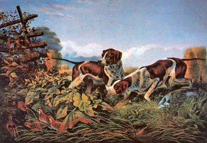 American Field Sports: On a Point by Currier and Ives