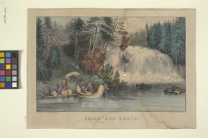 Falls of the Cats