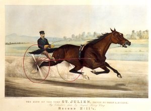 The King of the Turf, 