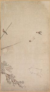 Puppies, Sparrows and Chrysanthemums
